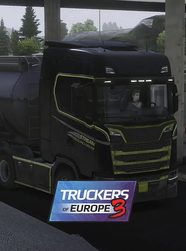 Black truck driving on the highway with Truckers of Europe 3 game logo displayed